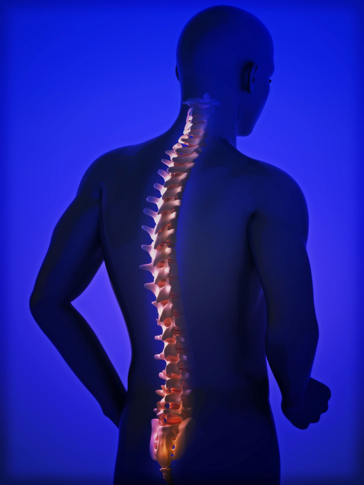 human-spine-2026-01-06-09-19-01-utc